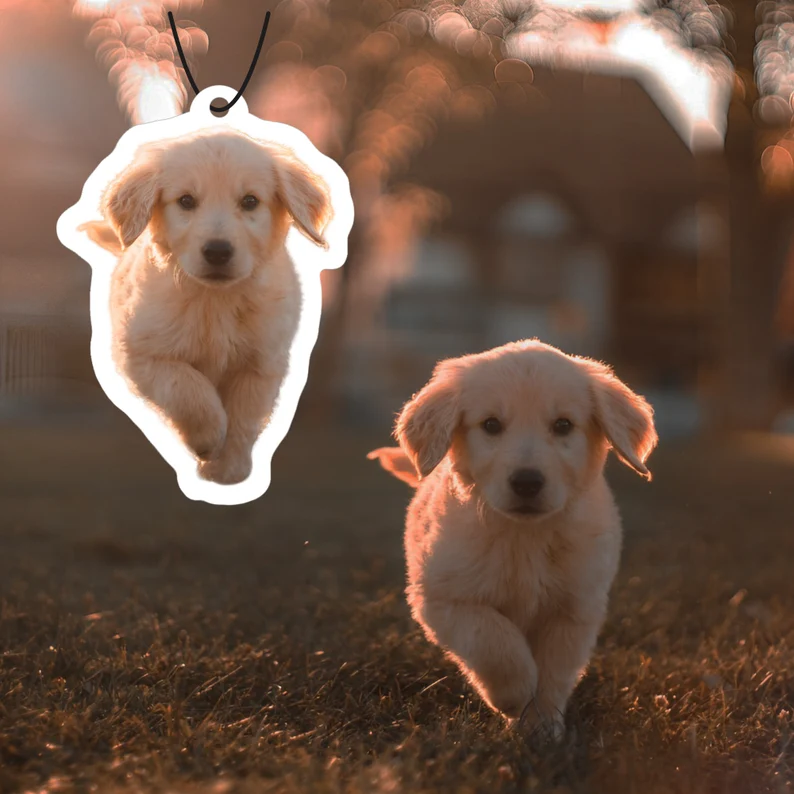 Custom Pet Air Fresheners Pet Picture Printed Air Freshener